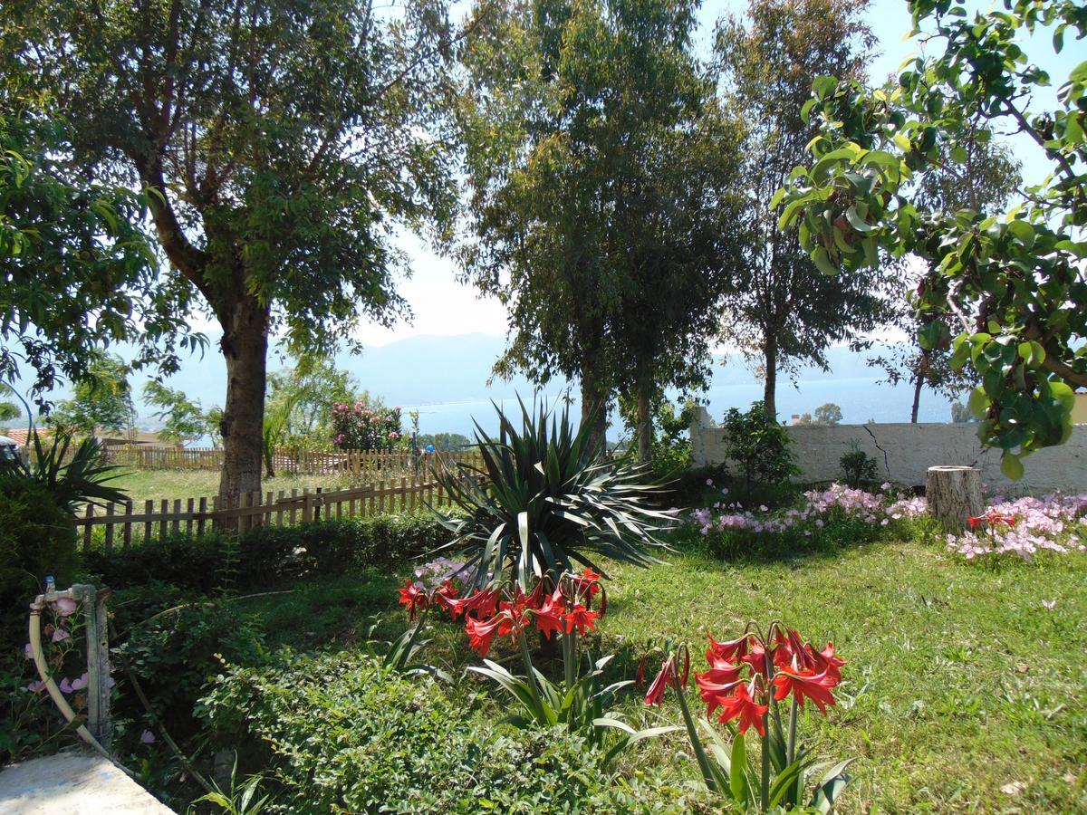 Residence Jazoj Vlorë Exterior foto